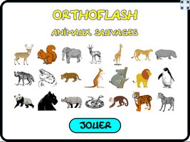 Orthoflash (animaux sauvages)