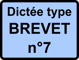 Dictée type Brevet n°7 - Emile Zola, Au Bonheur des dames, 1883.